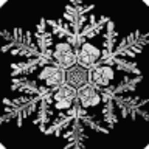 Meet your Posher, Jane